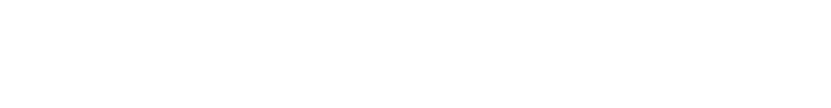 Avidyne
