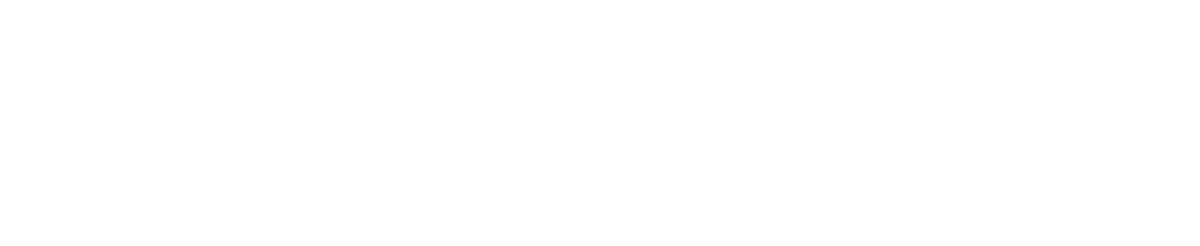 BendixKing